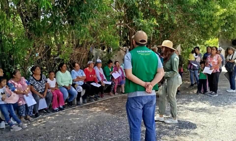 SEGURIDAD ALIMENTARIA LLEGA CASA POR CASA A LOS 59 MUNICIPIOS