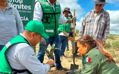 SAN LUIS POTOSÍ CONMEMORA EL DÍA DEL ÁRBOL CON REFORESTACIÓN