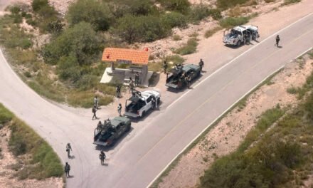 DESPLIEGUE TÁCTICO REFUERZA ACCIONES Y RESULTADOS EN EL ALTIPLANO
