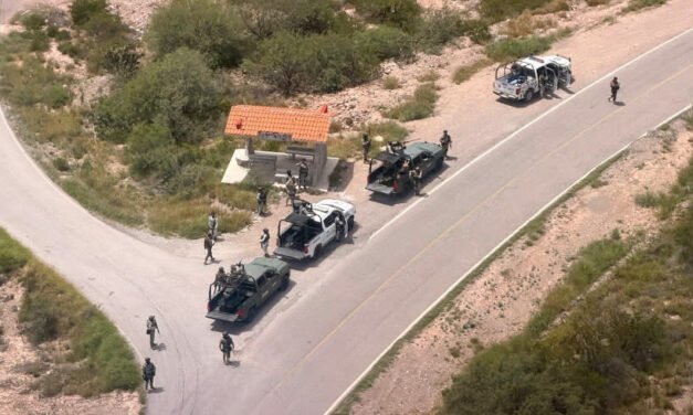 DESPLIEGUE TÁCTICO REFUERZA ACCIONES Y RESULTADOS EN EL ALTIPLANO