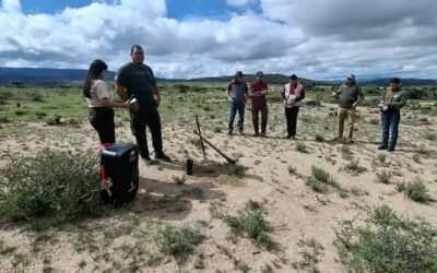 GOBIERNO DEL ESTADO INICIA REFORESTACIÓN EN EL ALTIPLANO POTOSINO
