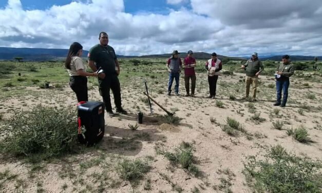 GOBIERNO DEL ESTADO INICIA REFORESTACIÓN EN EL ALTIPLANO POTOSINO
