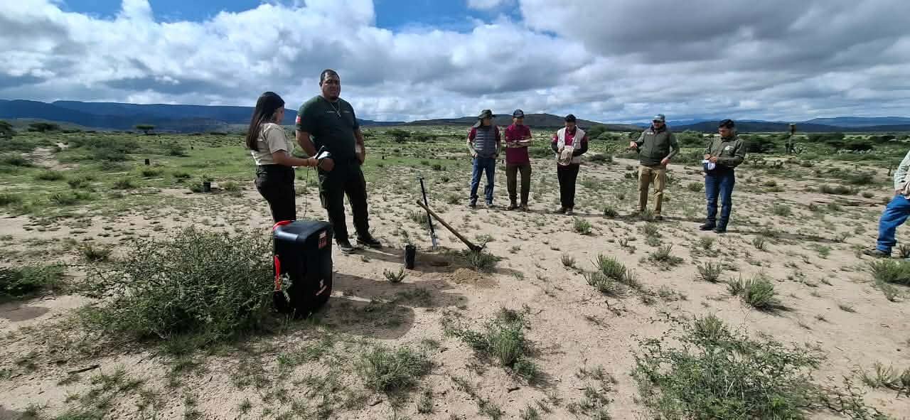 GOBIERNO DEL ESTADO INICIA REFORESTACIÓN EN EL ALTIPLANO POTOSINO