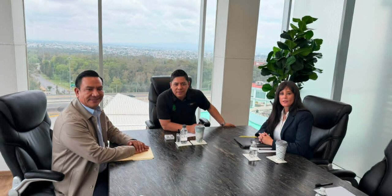 ORDEN Y PAZ SOCIAL AVANZAN CON TRABAJO COORDINADO: RICARDO GALLARDO