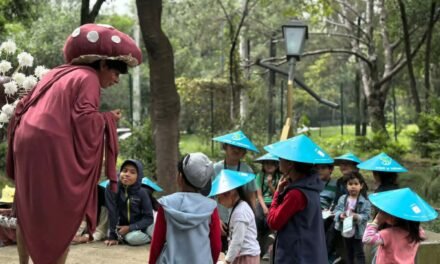 CON “EXPLORADORES DEL BOSQUE”, NIÑAS, NIÑOS Y ADOLESCENTES VIVEN UN VERANO DE JUEGO, ARTE Y NATURALEZA