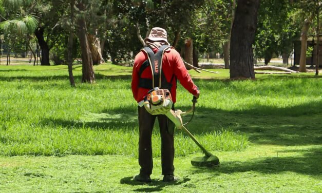 PARQUE JAPONÉS DEL TANGAMANGA I RECIBE MANTENIMIENTO INTEGRAL