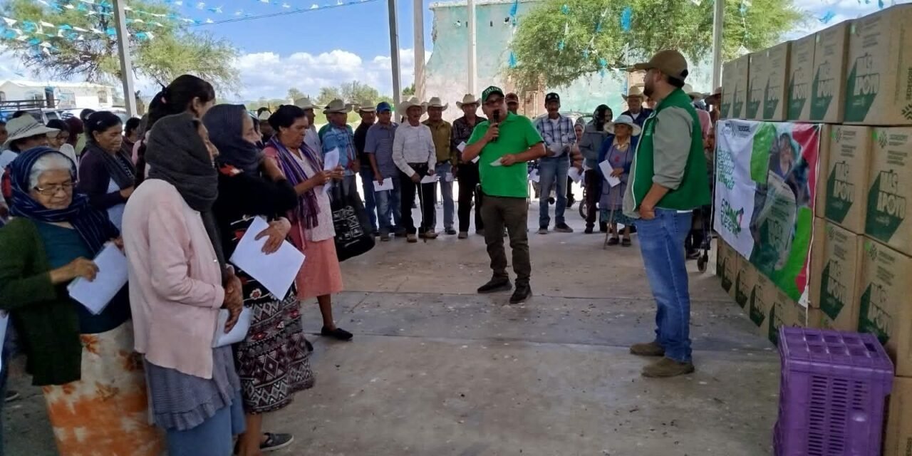 APOYOS ALIMENTARIOS LLEGAN DIRECTAMENTE A FAMILIAS DE CUATRO REGIONES