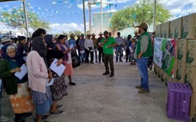 APOYOS ALIMENTARIOS LLEGAN DIRECTAMENTE A FAMILIAS DE CUATRO REGIONES