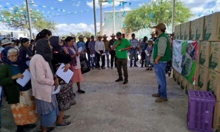 APOYOS ALIMENTARIOS LLEGAN DIRECTAMENTE A FAMILIAS DE CUATRO REGIONES