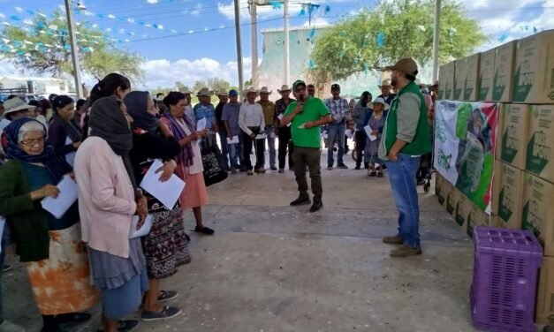 APOYOS ALIMENTARIOS LLEGAN DIRECTAMENTE A FAMILIAS DE CUATRO REGIONES