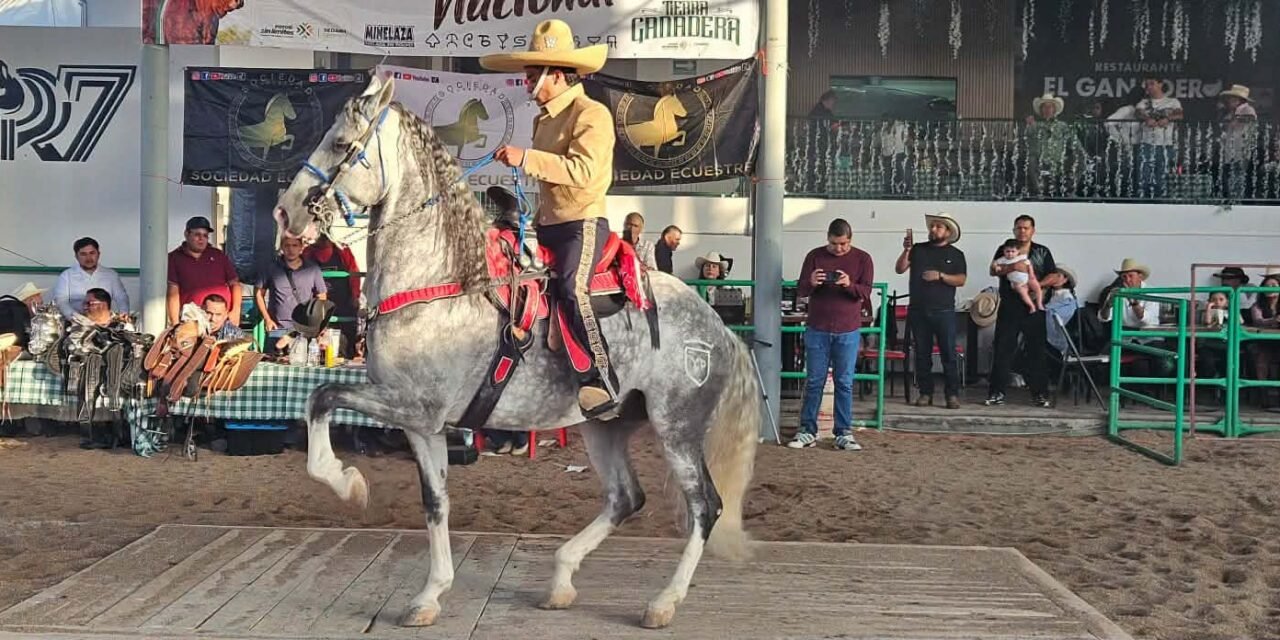 SAN LUIS POTOSÍ RECIBE CAMPEONATO NACIONAL DE CABALLOS BAILADORES EN FENAPO 2026