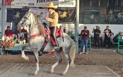 SAN LUIS POTOSÍ RECIBE CAMPEONATO NACIONAL DE CABALLOS BAILADORES EN FENAPO 2026