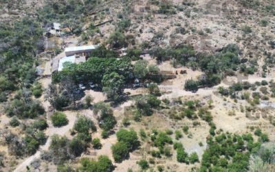 SSPC DESARTICULA ESTRUCTURA QUE PRETENDÍA INSTALARSE EN SAN LUIS POTOSÍ