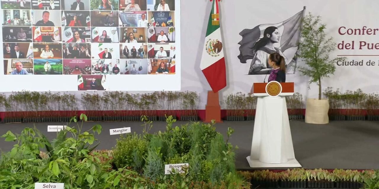 SAN LUIS POTOSÍ PARTICIPARÁ EN LA JORNADA NACIONAL DE REFORESTACIÓN