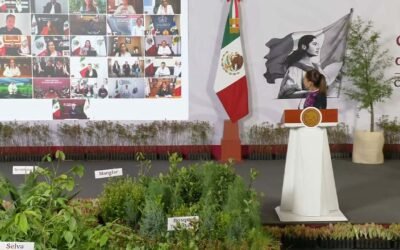 SAN LUIS POTOSÍ PARTICIPARÁ EN LA JORNADA NACIONAL DE REFORESTACIÓN