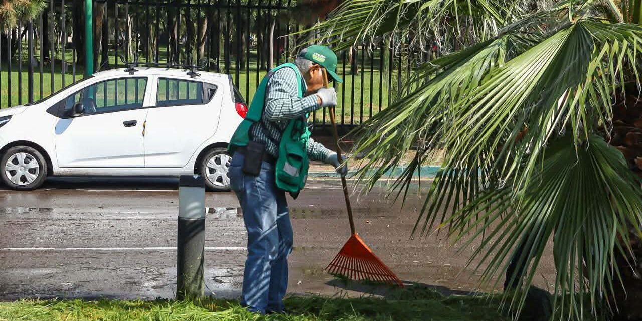 PARQUES TANGAMANGA RECIBEN MANTENIMIENTO PERMANENTE