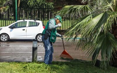 PARQUES TANGAMANGA RECIBEN MANTENIMIENTO PERMANENTE