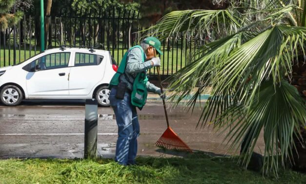 PARQUES TANGAMANGA RECIBEN MANTENIMIENTO PERMANENTE