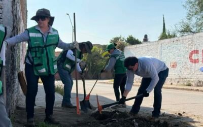 SEGAM REFORESTA CON 600 EJEMPLARES Y ENTREGA 200 ÁRBOLES FRUTALES