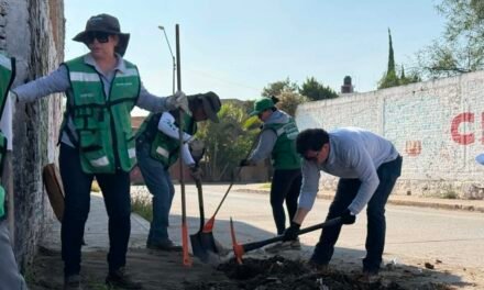 SEGAM REFORESTA CON 600 EJEMPLARES Y ENTREGA 200 ÁRBOLES FRUTALES