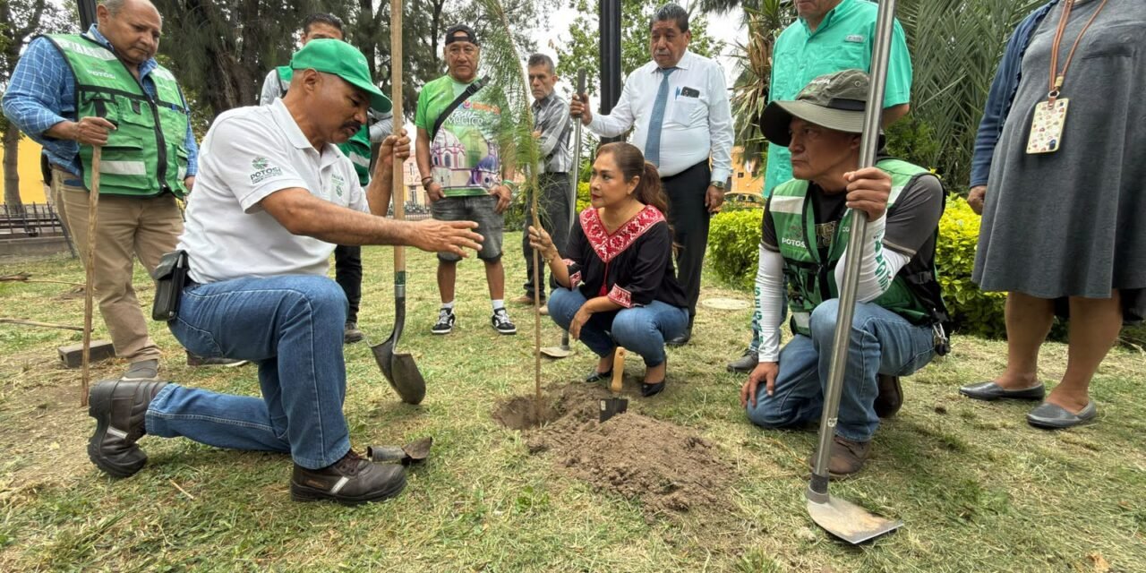 SEGAM REFORESTA EL BARRIO DE TLAXCALA