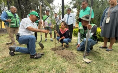 SEGAM REFORESTA EL BARRIO DE TLAXCALA
