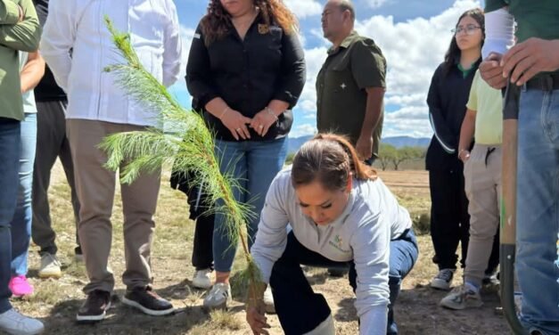 GOBIERNO DEL ESTADO AMPLÍA ÁREAS VERDES CON REFORESTACIÓN EN PARQUE LAS CAMELIAS