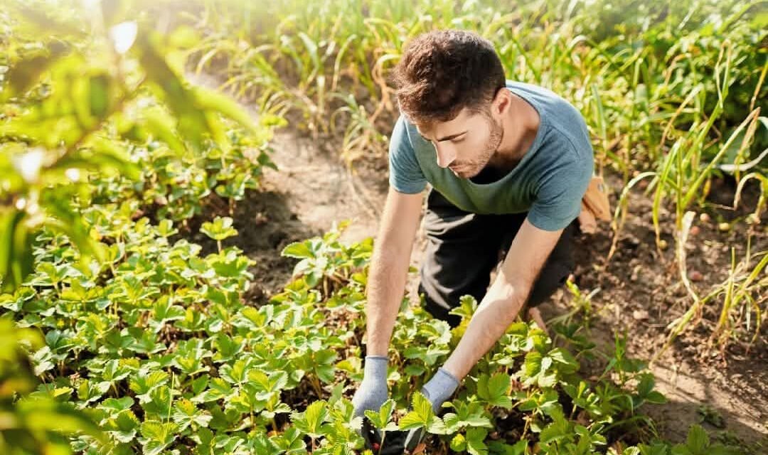 SAN LUIS POTOSÍ CONTARÁ CON CERTIFICADORA INTERNACIONAL PARA EL SECTOR AGROPECUARIO