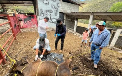 SLP REFUERZA EL COMBATE AL GUSANO BARRENADOR
