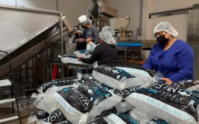 GOBIERNO DEL ESTADO FINANCIA ENERGÍA SOLAR PARA MODERNIZAR EMPRESAS POTOSINAS