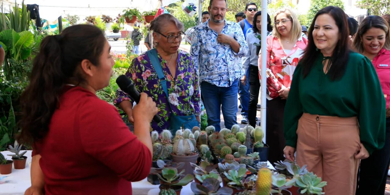 VILLA DE POZOS INIVITA A DISFRUTAR DE LA PRIMERA EDICIÓN DE LA FERIA DE LAS FLORES