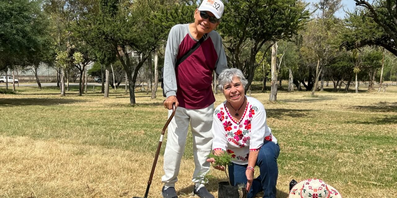 PERSONAS ADULTAS MAYORES DEJAN UN LEGADO VERDE EN EL PARQUE TANGAMANGA I