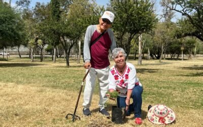 PERSONAS ADULTAS MAYORES DEJAN UN LEGADO VERDE EN EL PARQUE TANGAMANGA I