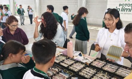 MÁS DE 500 JÓVENES PARTICIPAN EN FERIA ESTATAL DE PREVENCIÓN