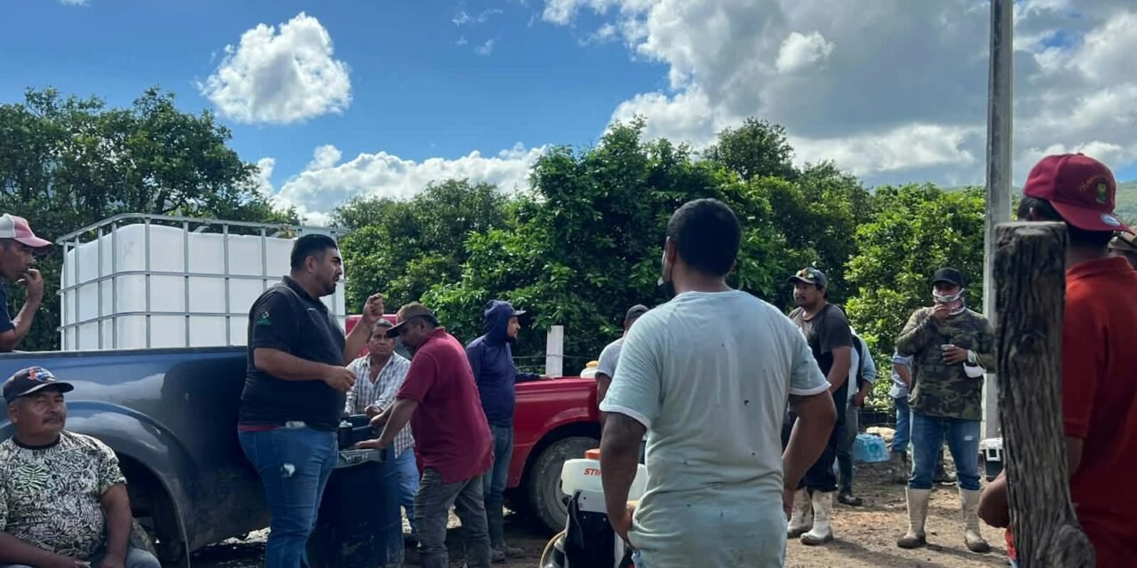 GOBIERNO ESTATAL AMPLÍA OPERATIVO CONTRA PLAGA DE LANGOSTA EN LA REGIÓN MEDIA