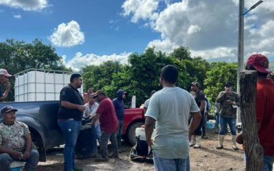 GOBIERNO ESTATAL AMPLÍA OPERATIVO CONTRA PLAGA DE LANGOSTA EN LA REGIÓN MEDIA