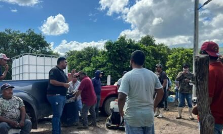 GOBIERNO ESTATAL AMPLÍA OPERATIVO CONTRA PLAGA DE LANGOSTA EN LA REGIÓN MEDIA