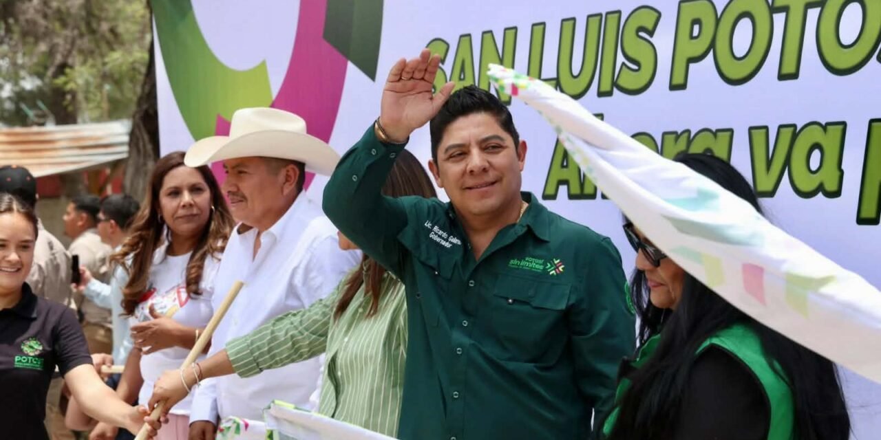 SAN LUIS POTOSÍ, LÍDER NACIONAL EN VALOR DE PRODUCCIÓN DE TOMATE