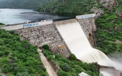 CEA INFORMA SOBRE REANUDACIÓN DEL SISTEMA EL REALITO