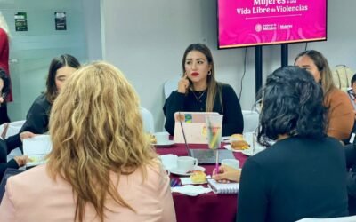SAN LUIS PARTICIPA EN ACTUALIZACIÓN DE REGLAMENTO PARA PROTEGER A LAS MUJERES
