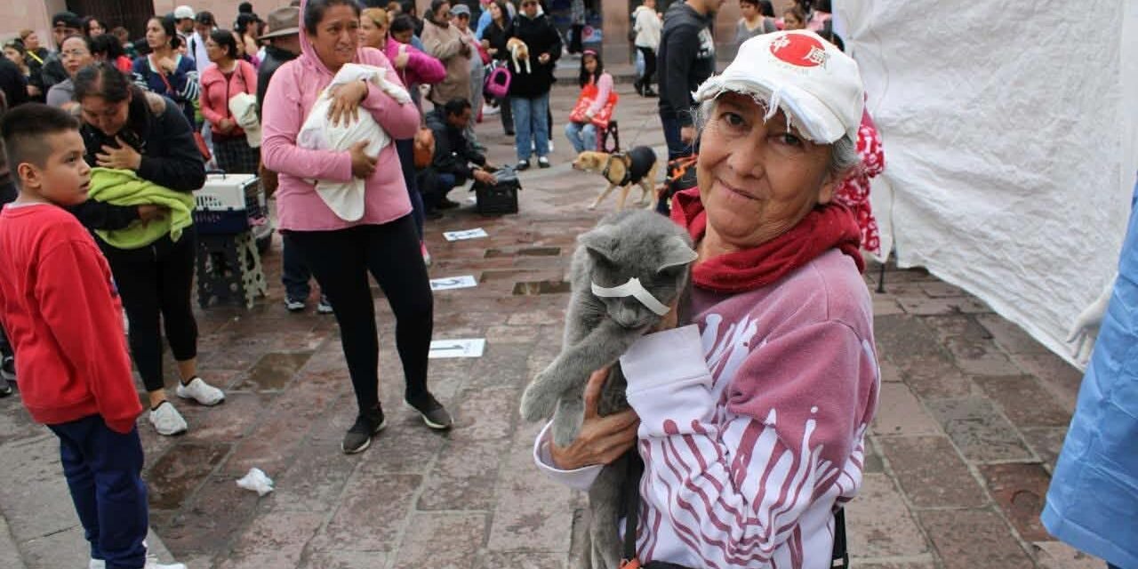 Hoy se  realizaron más de 200 esterilizaciones gratuitas en una sola jornada.