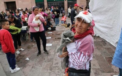 Hoy se realizaron más de 200 esterilizaciones gratuitas en una sola jornada.