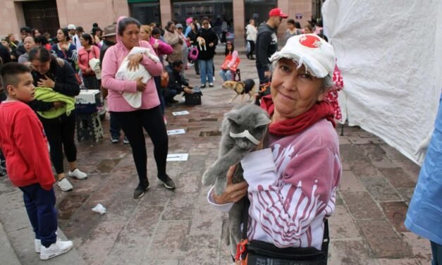Hoy se  realizaron más de 200 esterilizaciones gratuitas en una sola jornada.