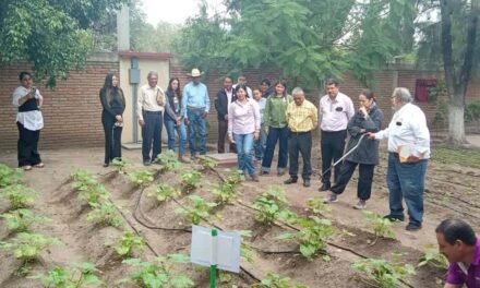 SEDARH LLEVA HUERTOS ESCOLARES Y CAPTACIÓN DE LLUVIA A LA REGIÓN MEDIA