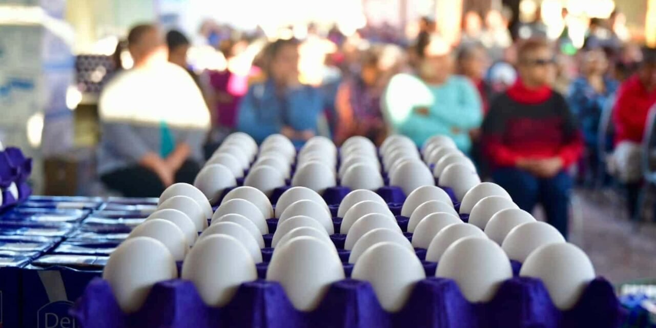SAN LUIS POTOSÍ OCUPA QUINTO LUGAR NACIONAL EN PRODUCCIÓN DE HUEVO