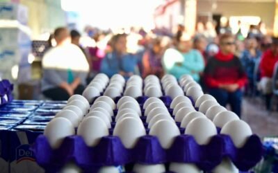 SAN LUIS POTOSÍ OCUPA QUINTO LUGAR NACIONAL EN PRODUCCIÓN DE HUEVO