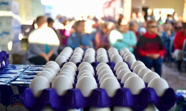 SAN LUIS POTOSÍ OCUPA QUINTO LUGAR NACIONAL EN PRODUCCIÓN DE HUEVO